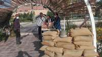 گراميداشت هفته دفاع مقدس در بيمارستان ولايت