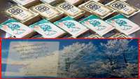 گرامیداشت روز زن و جشن میلاد زمستانه برای کارکنان بیمارستان ولایت